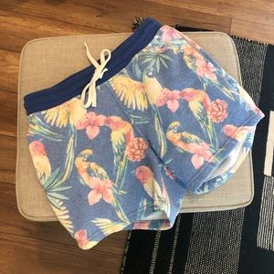 Chubbies sweatshorts 🏝